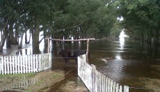 FOTO: Archivo