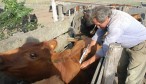 vacunacion -66