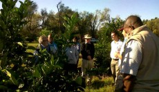 Baradero-20130506-00179