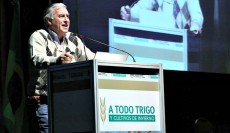 Pablo Calviño habló sobre las alternativas al trigo