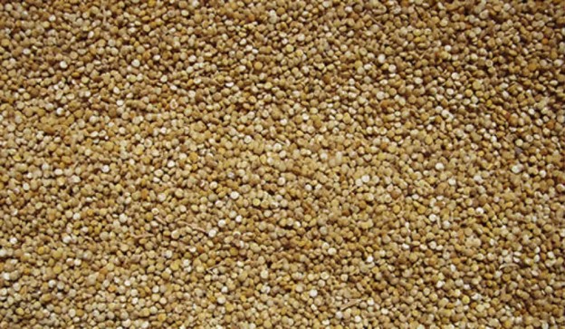 quinoa-3