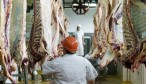 frigorífico carne