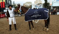Gran Campeón Hembra Polo Argentino, propiedad de David Nalbandián. FOTO: SRA.
