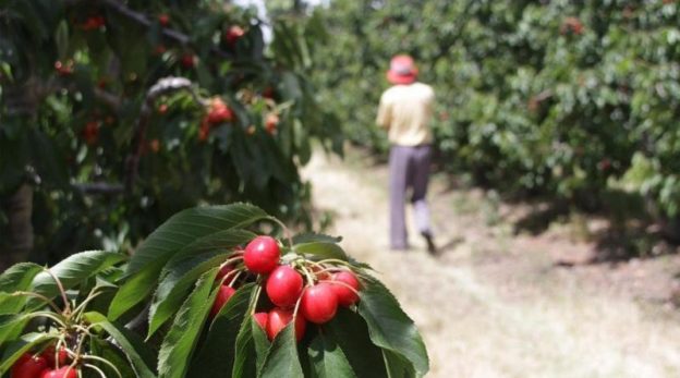 La CAME agrupa a más de 480 entidades de productores pymes agroindustriales.