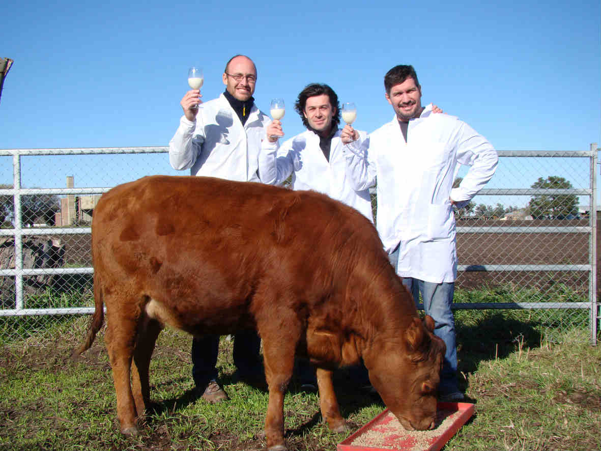 "Rosita ISA" el bovino doble clonado del INTA Balcarce y la Universidad de San Martin
