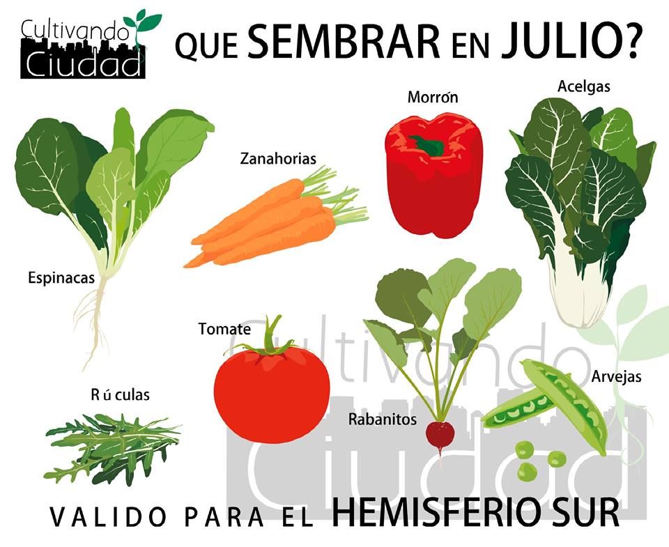 Que se puede sembrar en julio