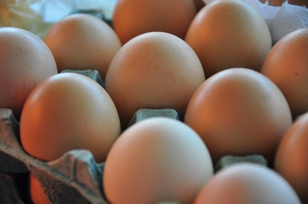 Productores de huevo contra aumentos de precios | Supercampo